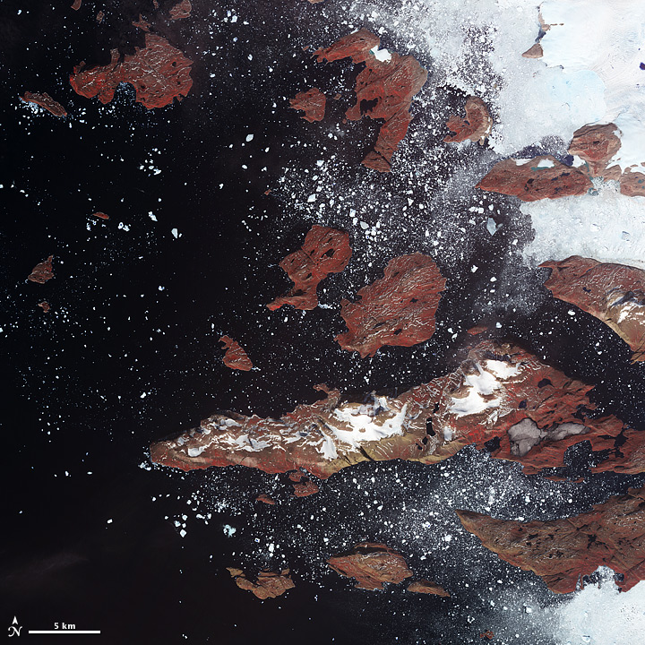 Iceberg groenlandesi visti dal satellite   earthobservatory.nasa.gov/